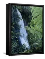 Waiere Falls Near Te Wairoa, North Island, New Zealand, Pacific-Ian Griffiths-Framed Stretched Canvas