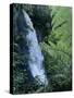 Waiere Falls Near Te Wairoa, North Island, New Zealand, Pacific-Ian Griffiths-Stretched Canvas