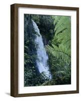 Waiere Falls Near Te Wairoa, North Island, New Zealand, Pacific-Ian Griffiths-Framed Photographic Print