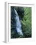 Waiere Falls Near Te Wairoa, North Island, New Zealand, Pacific-Ian Griffiths-Framed Photographic Print