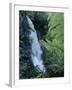 Waiere Falls Near Te Wairoa, North Island, New Zealand, Pacific-Ian Griffiths-Framed Photographic Print