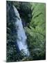 Waiere Falls Near Te Wairoa, North Island, New Zealand, Pacific-Ian Griffiths-Mounted Photographic Print