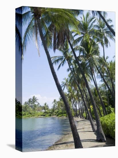 Waikaloa Beach, Island of Hawaii (Big Island), Hawaii, USA-Ethel Davies-Stretched Canvas