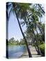 Waikaloa Beach, Island of Hawaii (Big Island), Hawaii, USA-Ethel Davies-Stretched Canvas