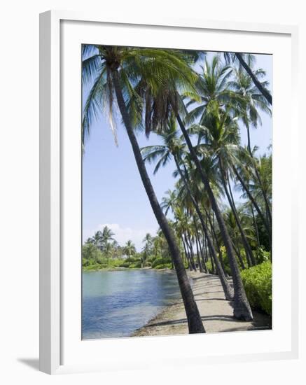 Waikaloa Beach, Island of Hawaii (Big Island), Hawaii, USA-Ethel Davies-Framed Photographic Print