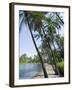 Waikaloa Beach, Island of Hawaii (Big Island), Hawaii, USA-Ethel Davies-Framed Photographic Print