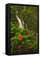 Waikani Falls, Hana Highway near Hana, East Maui, Hawaii, USA-Stuart Westmorland-Framed Stretched Canvas