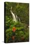 Waikani Falls, Hana Highway near Hana, East Maui, Hawaii, USA-Stuart Westmorland-Stretched Canvas
