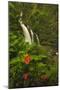 Waikani Falls, Hana Highway near Hana, East Maui, Hawaii, USA-Stuart Westmorland-Mounted Photographic Print