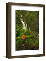 Waikani Falls, Hana Highway near Hana, East Maui, Hawaii, USA-Stuart Westmorland-Framed Photographic Print