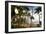 Waikiki Beach Clock, Honolulu, O'ahu, Hawaii (photo)-null-Framed Photographic Print