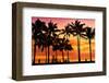 Waikiki Beach, Honolulu, Island of Oahu, Hawaii, USA-null-Framed Premium Giclee Print