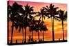 Waikiki Beach, Honolulu, Island of Oahu, Hawaii, USA-null-Stretched Canvas
