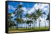 Waikiki Beach, Oahau, Hawaii, United States of America, Pacific-Michael-Framed Stretched Canvas