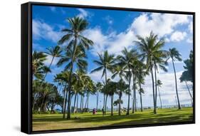 Waikiki Beach, Oahau, Hawaii, United States of America, Pacific-Michael-Framed Stretched Canvas