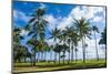 Waikiki Beach, Oahau, Hawaii, United States of America, Pacific-Michael-Mounted Photographic Print