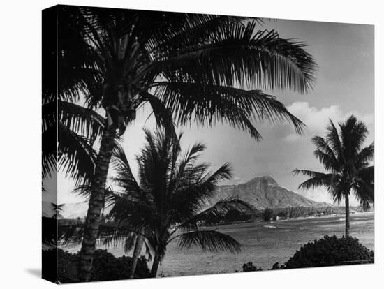 Waikiki Beach with Diamond Head in Rear as Seen from Across the Bay at the Royal Hawaiian-William C^ Shrout-Stretched Canvas