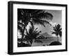 Waikiki Beach with Diamond Head in Rear as Seen from Across the Bay at the Royal Hawaiian-William C^ Shrout-Framed Photographic Print