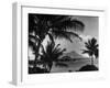 Waikiki Beach with Diamond Head in Rear as Seen from Across the Bay at the Royal Hawaiian-William C^ Shrout-Framed Photographic Print