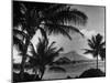 Waikiki Beach with Diamond Head in Rear as Seen from Across the Bay at the Royal Hawaiian-William C^ Shrout-Mounted Photographic Print