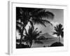 Waikiki Beach with Diamond Head in Rear as Seen from Across the Bay at the Royal Hawaiian-William C^ Shrout-Framed Photographic Print