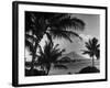 Waikiki Beach with Diamond Head in Rear as Seen from Across the Bay at the Royal Hawaiian-William C^ Shrout-Framed Photographic Print