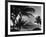 Waikiki Beach with Diamond Head in Rear as Seen from Across the Bay at the Royal Hawaiian-William C^ Shrout-Framed Photographic Print