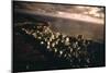 Waikiki Beach-null-Mounted Photographic Print