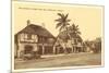 Waikiki Tavern, Honolulu, Hawaii-null-Mounted Premium Giclee Print