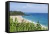 Waikoko Beach, Kauai, Hawaii, United States of America, Pacific-Michael DeFreitas-Framed Stretched Canvas