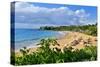 Wailea Beach at the Four Seasons Hotel, Wailea, Island of Maui, Hawaii, USA-null-Stretched Canvas