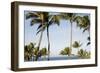 Wailea Beach Marriott Resort And Spa, Maui, Hawaii, USA: Palm Trees At The Resort-Axel Brunst-Framed Photographic Print