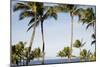 Wailea Beach Marriott Resort And Spa, Maui, Hawaii, USA: Palm Trees At The Resort-Axel Brunst-Mounted Photographic Print