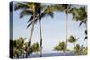 Wailea Beach Marriott Resort And Spa, Maui, Hawaii, USA: Palm Trees At The Resort-Axel Brunst-Stretched Canvas