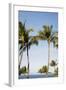 Wailea Beach Marriott Resort And Spa, Maui, Hawaii, USA: Palm Trees At The Resort-Axel Brunst-Framed Photographic Print