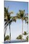 Wailea Beach Marriott Resort And Spa, Maui, Hawaii, USA: Palm Trees At The Resort-Axel Brunst-Mounted Photographic Print