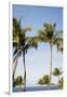 Wailea Beach Marriott Resort And Spa, Maui, Hawaii, USA: Palm Trees At The Resort-Axel Brunst-Framed Premium Photographic Print