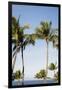 Wailea Beach Marriott Resort And Spa, Maui, Hawaii, USA: Palm Trees At The Resort-Axel Brunst-Framed Premium Photographic Print