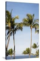 Wailea Beach Marriott Resort And Spa, Maui, Hawaii, USA: Palm Trees At The Resort-Axel Brunst-Stretched Canvas