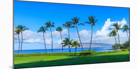 Wailea Beach near Kihei, Maui, Hawaii, USA-Elena_Suvorova-Mounted Photographic Print