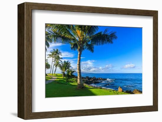 Wailea Beach near Kihei, Maui, Hawaii, USA-Elena_Suvorova-Framed Photographic Print