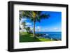 Wailea Beach near Kihei, Maui, Hawaii, USA-Elena_Suvorova-Framed Photographic Print