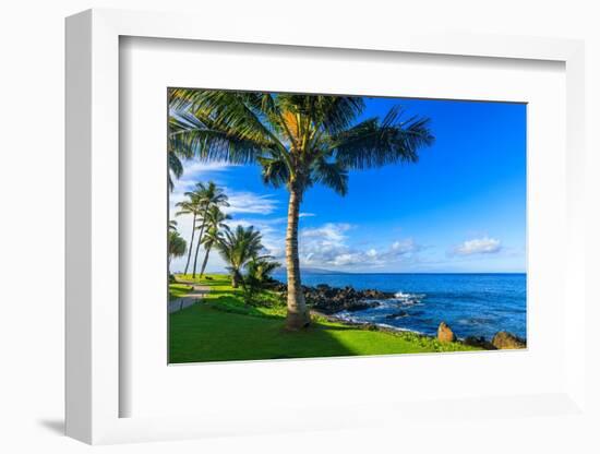 Wailea Beach near Kihei, Maui, Hawaii, USA-Elena_Suvorova-Framed Photographic Print