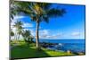 Wailea Beach near Kihei, Maui, Hawaii, USA-Elena_Suvorova-Mounted Photographic Print