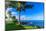 Wailea Beach near Kihei, Maui, Hawaii, USA-Elena_Suvorova-Mounted Photographic Print