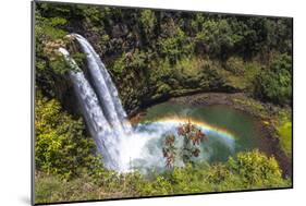 Wailua Falls and Scenery on the Hawaiian Island of Kauai-Andrew Shoemaker-Mounted Photographic Print