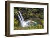 Wailua Falls and Scenery on the Hawaiian Island of Kauai-Andrew Shoemaker-Framed Premium Photographic Print