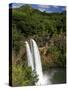 Wailua Falls, Kauai, Hawaii, USA-David R. Frazier-Stretched Canvas