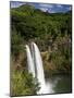 Wailua Falls, Kauai, Hawaii, USA-David R. Frazier-Mounted Photographic Print