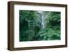 Wailua Falls On The Road To Hana, Maui, Hawaii-George Oze-Framed Photographic Print